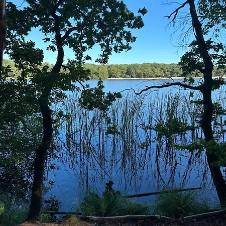 Op Den Distelberg * Helvoirt