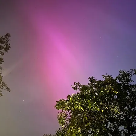 Op Den Distelberg Apartman *