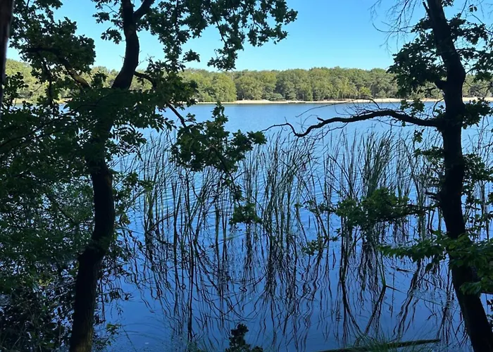 Op Den Distelberg * Helvoirt