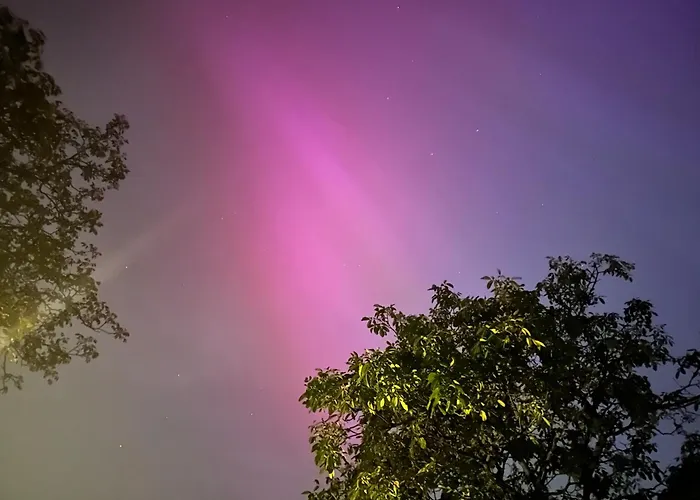 Op Den Distelberg Διαμέρισμα *