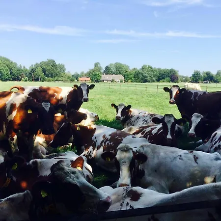 Op Den Distelberg Appartamento *