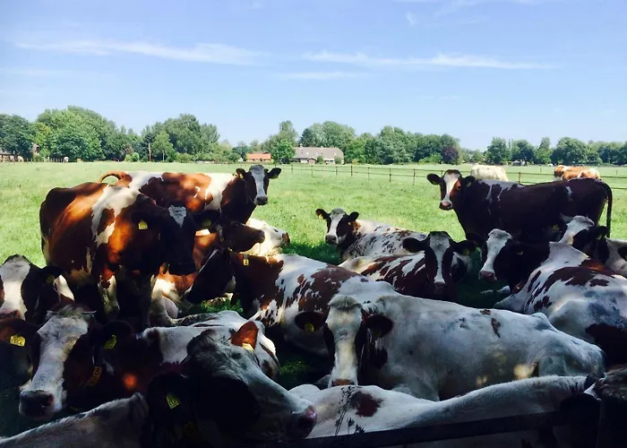 Op Den Distelberg Appartamento *